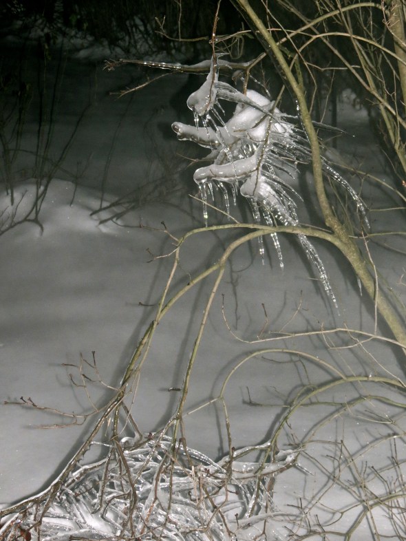 Winter Faery, Frozen Soul