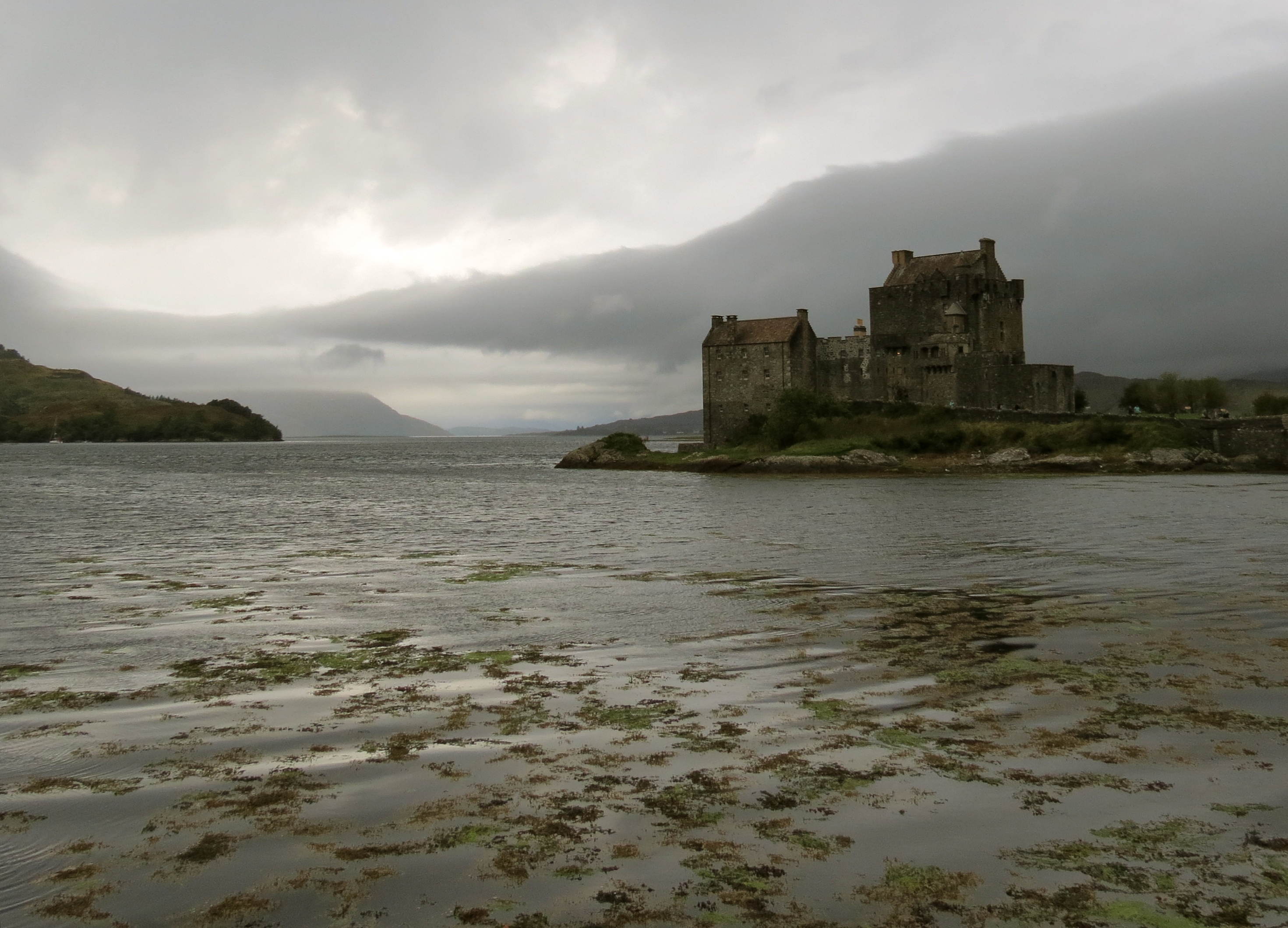 eileendonan